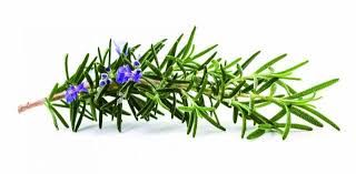 Rosemary